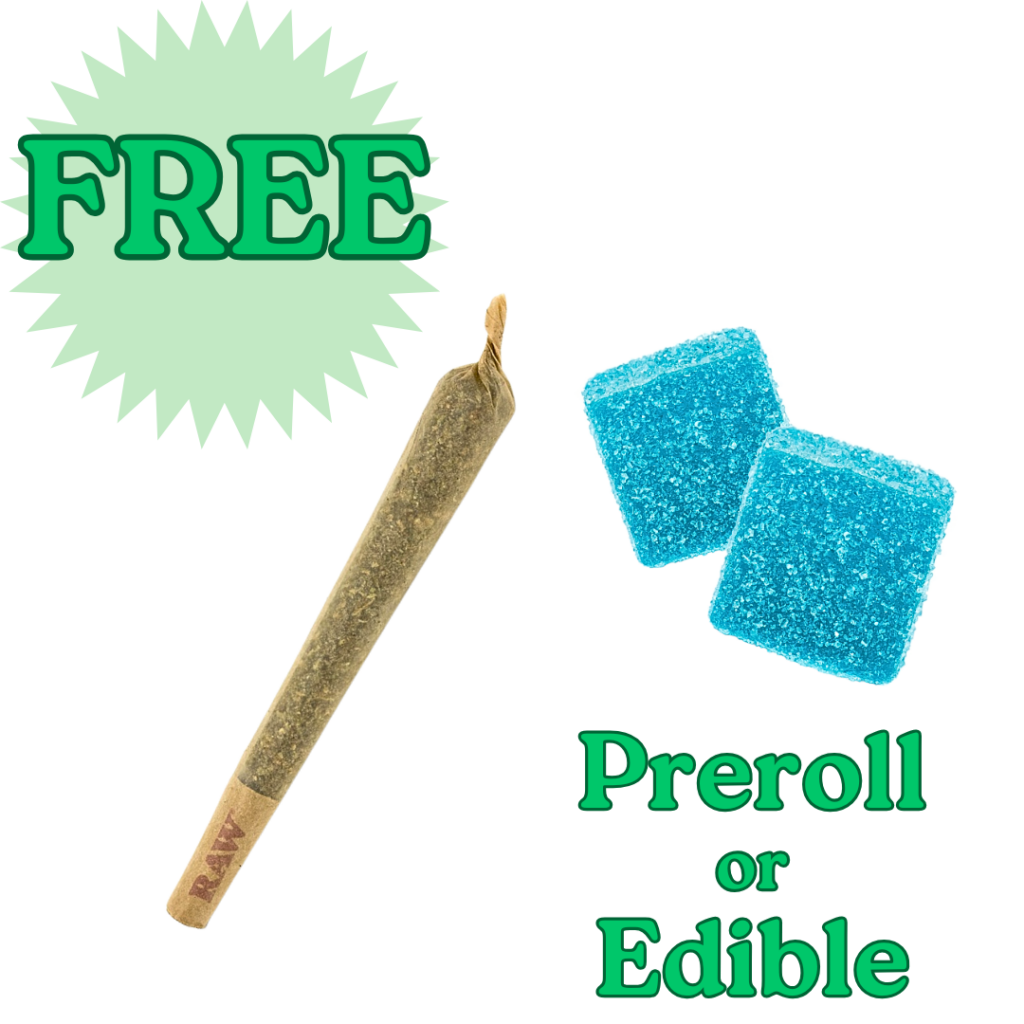 1 free preroll or edible the human condition shop