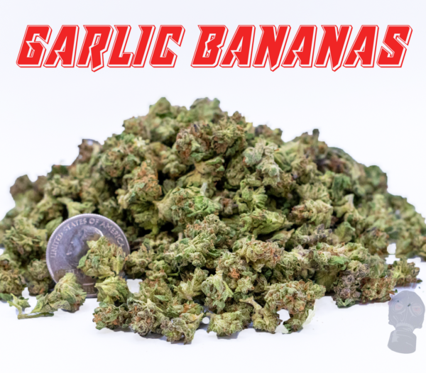 THCa Micro Buds • 7 Grams - Image 2