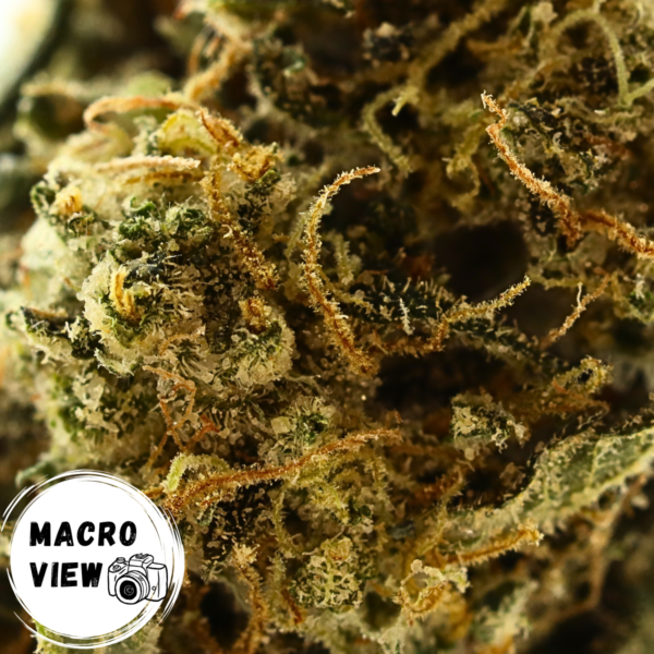 50% OFF • Jack Herer • Sativa • Top Shelf Flower • 20.15% THCa - Image 3