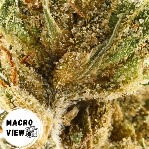 Permanent Marker • Hybrid • Greenhouse Flower • 34.59% THCa - Image 3
