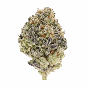 Cookies and Cream • Hybrid • Top Shelf Indoor Flower • 29.44% THCa