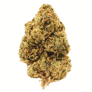 Gruntz • Hybrid • Low Potency THCa Flower • 11.74% THCa