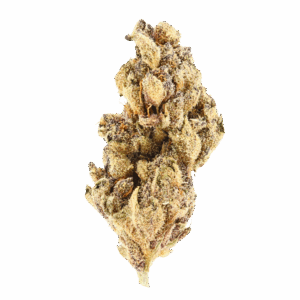 Blackberry Gelato • Hybrid • Budget Buds • 29.24% THCa