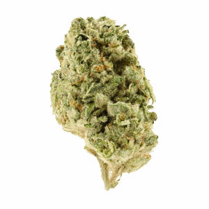 Lemon Tart • Sativa Hybrid • Greenhouse Flower • 26.80% THCa