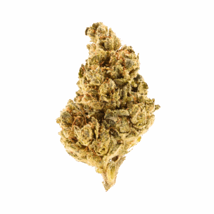 Pablos Revenge • Hybrid • Budget Buds • 28.57% THCa