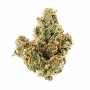 Blue Dream • Sativa Hybrid • Top Shelf Indoor Flower • 29.41% THCa