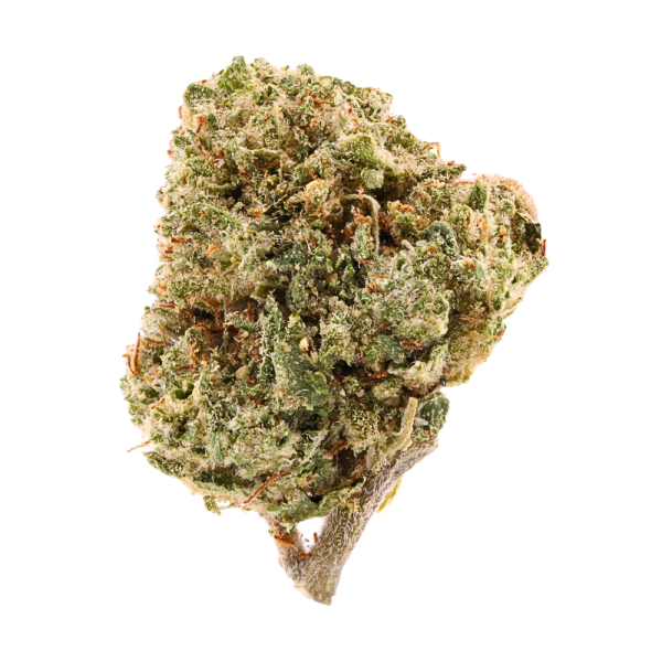 Mimosa • Sativa • Greenhouse Flower • 26.14% THCa