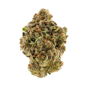 Slurty • Indica • Greenhouse Flower • 26.19% THCa