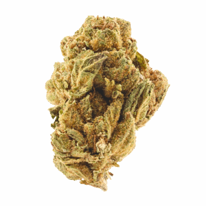 Gelato King • Indica Hybrid • Budget Buds • 30.03% THCa