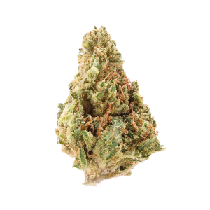 Khalifa Kush • Hybrid • Greenhouse Flower • 30.54% THCa