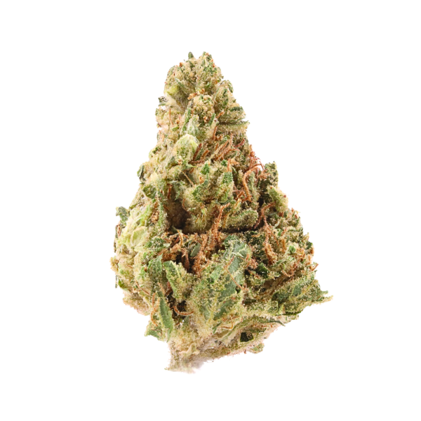 Khalifa Kush • Hybrid • Greenhouse Flower • 30.54% THCa