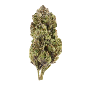 Sherbacio • Hybrid • Greenhouse Flower • 27.02% THCa