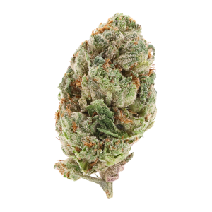 Orange Tree • Top Shelf Indoor Flower • Hybrid • 28.18% THCa