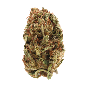 Hazed & Confused • Greenhouse Flower • Sativa • 27% THCa