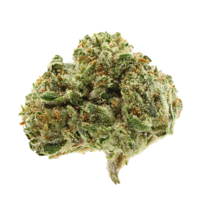 Sundae Driver• Greenhouse Flower Smalls • Hybrid • 28.05% THCa