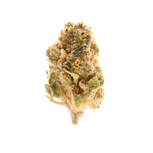 Golden Goat • Sativa • Indoor Top Shelf Smalls • 28.41% THCa