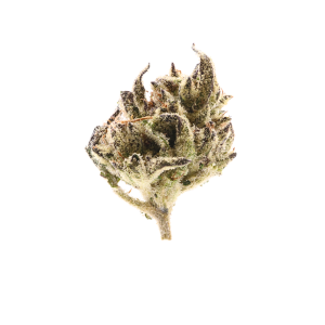 Watermelon Gelato • Indica • Greenhouse Flower • 32.62% THCa