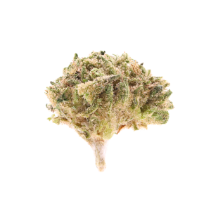 Maple Glaze • Indica • Budget Bud Smalls • 28.98% THCa
