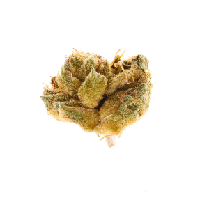 Glue Train • Indica • Budget Bud Flower • 31.01% THCa
