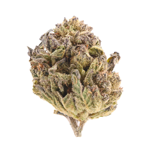 Berry Cake • Hybrid • Greenhouse Flower • 28.47% THCa