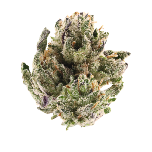 Trap Fuel • Hybrid • Indoor Top Shelf Smalls • 30.04% THCa