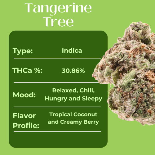 Tangerine Tree • Indica • Indoor Top Shelf Smalls • 30.86% THCa - Image 4