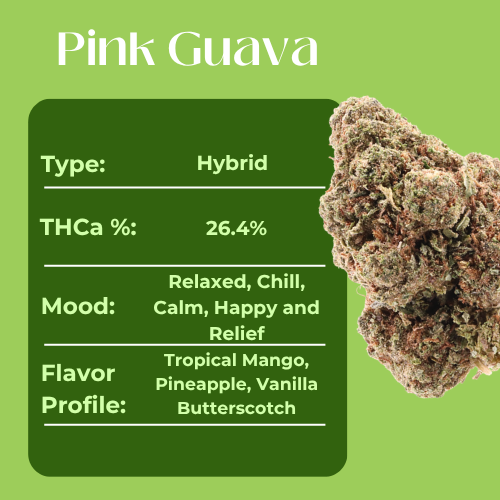 Pink Guava • Hybrid • Greenhouse Flower • 26.4% THCa - Image 4