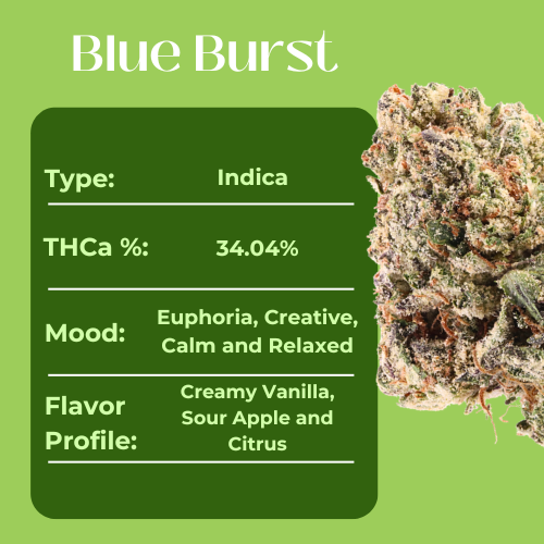 Blue Burst • Indica • Greenhouse Flower • 34.04% THCa - Image 4
