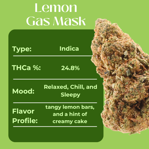 Lemon Gas Mask • Indica • Greenhouse Flower • 24.8% THCa - Image 4