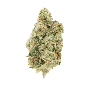 Silent Hit • Sativa • Top Shelf Indoor Flower • 30.43% THCa