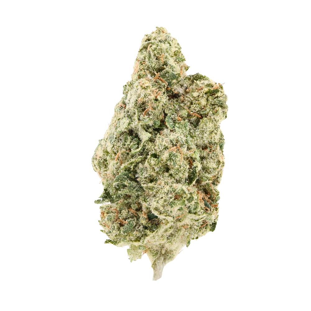 Silent Hit • Sativa • Top Shelf Indoor Flower • 30.43% THCa