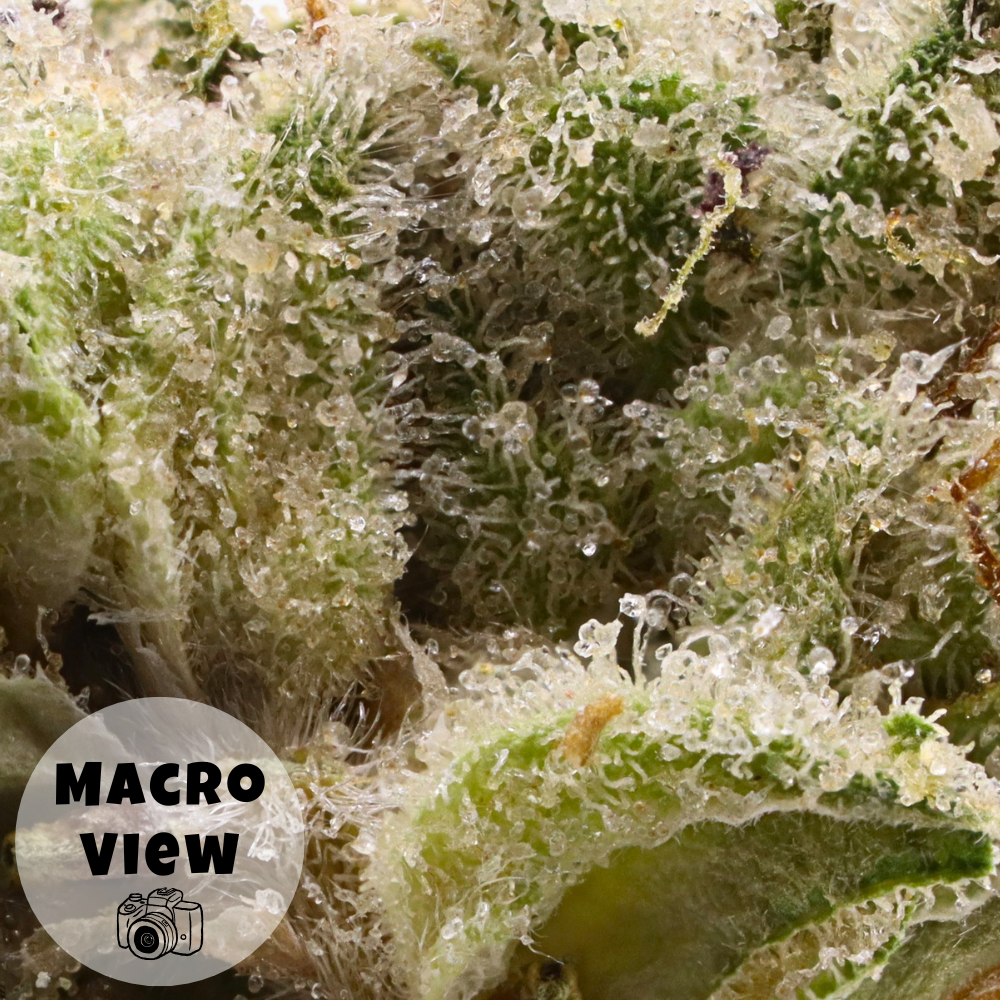 Papa Burger • Indica • Top Shelf Indoor Flower • 31.43% THCa - Image 3