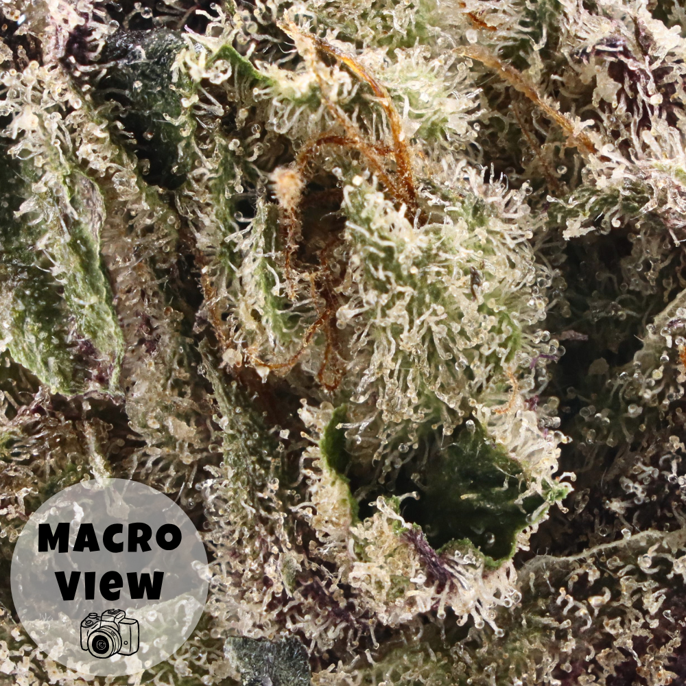 Candy Mob • Sativa • Top Shelf Indoor Flower • 33.09% THCa - Image 3