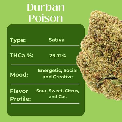Durban Poison • Sativa • Greenhouse Flower • 29.71% THCa - Image 4