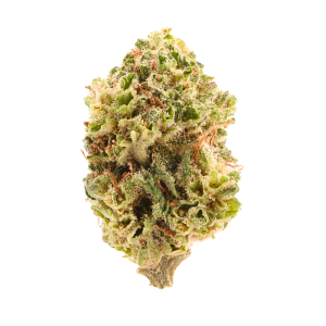Son of Mac • Hybrid • Greenhouse Smalls • 26.67% THCa